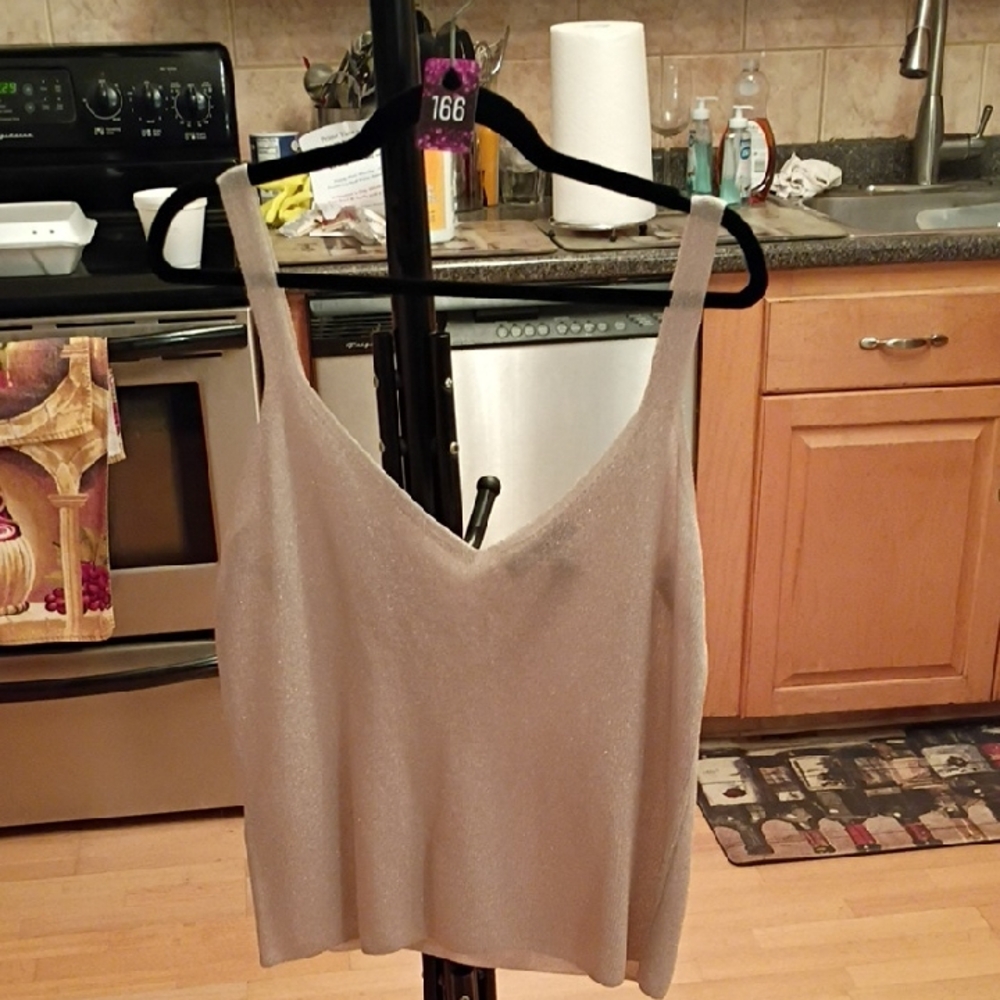 Chic Silver Camisole Top